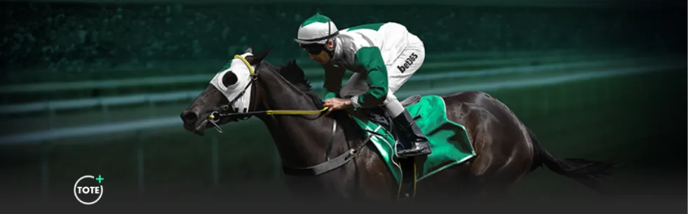 曼联战胜热,晋级欧联,平博指数比分,平博指数比分,赛事指数信息,足球指数比分平台,体育赛事数据,比分平台