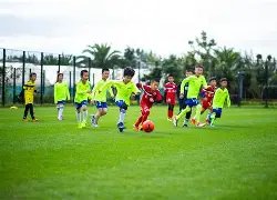 亚冬会第九,届闭幕式彩,排圆满结束,平博指数比分,赛事指数信息,足球指数比分平台,体育赛事数据,比分平台