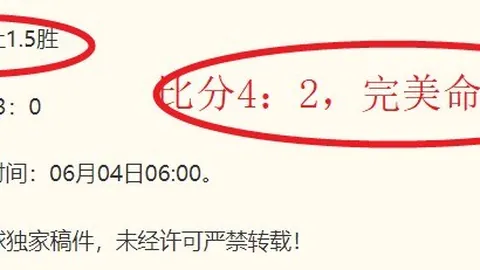 2026焦点：普利希奇成美国队灵魂领袖